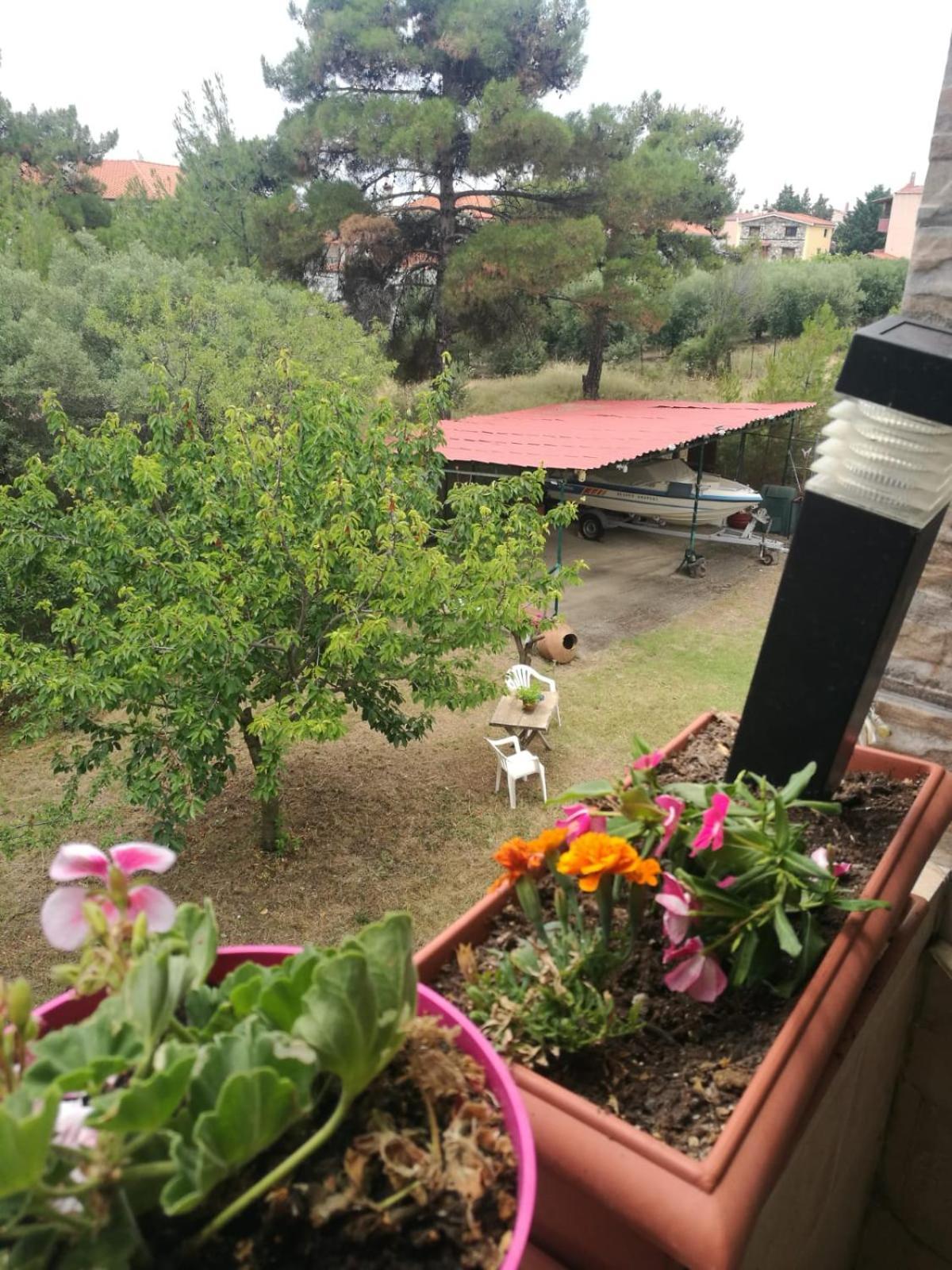 Little Hause Hotel Псахудиа Екстериор снимка